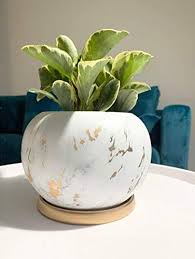 Ceramic flower pot, ceramic planter, flower pot with drainage hole, green flower pot, 5 inch ceramic pot. Potey Planter Ceramic Plant Flower Pot 5 Large Indoor Glazed Container Bonsai With Drainage Hole Saucer Large Space White Golden Pricepulse