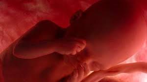 Ahora, todos sus huesos contienen médula ósea, que puede producir glóbulos, y su piel almacena en su interior finas capas de. Semana 22 De Embarazo Comunicate Con Tu Bebe