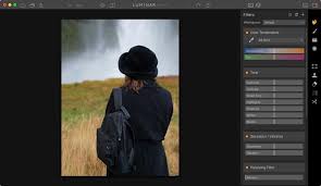 Remove background from images automatically for free. How To Remove The Background Of A Picture Skylum How To
