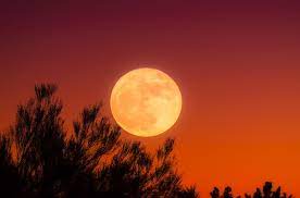 We did not find results for: Horoscop 26 August Luna Plina In Pesti Cum Este Influentat Fiecare Zodie