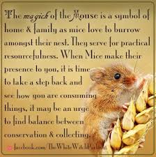 Mouse Mice Spiritual Metaphysical Meaning Totem Animal Witch Occult Magick Book Of Shad Animal Totem Spirit Guides Animal Spirit Guides Spirit Animal
