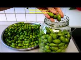 Kirmadan Cizmeden Dunyanin En Kolay Zeytin Kurumu Kislik Zeytin Nasil Kurulur Tarifi Youtube Gida Saglikli Yemek Tarifleri Yemek Tarifleri