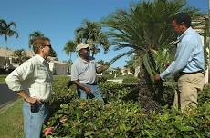 07-23-2026 Landscape and Lawn Q&A Session: Bring Your Questions!