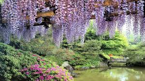 You can also upload and share your favorite secret garden wallpapers. Secret Garden Wallpapers Top Free Secret Garden Backgrounds Wallpaperaccess