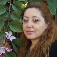 PDF) Violencias del pasado reciente en el Nordeste Argentino