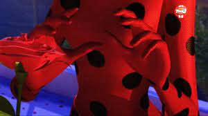 Ok Guys Think With Me What If Marinette Puts This Rose On A Vase In Her Room An Miraculous Ladybug Anime Miraculous Ladybug Funny Miraculous Ladybug Wallpaper