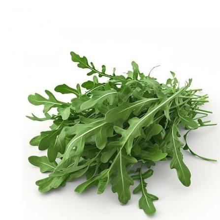 انواع مختلف آروگولا