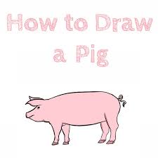 Step by step drawing tutorial on how to draw a pig for kids easy. How To Draw A Pig How To Draw Easy