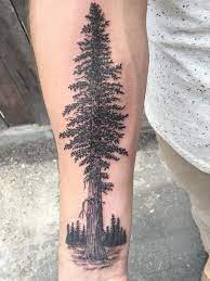 What does palm tree tattoo mean? 25 Intricate Tree Tattoos For Men In 2021 The Trend Spotter