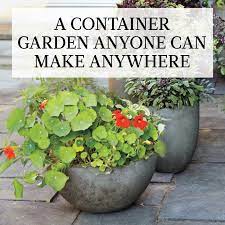 A Container Vegetable Garden Anybody Can Grow Anywhere Container Gardening Growing Tomatoes In Containers Tomato Garden