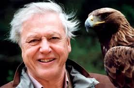 David Attenborough: 19 images celebrate his legendary career as the  cultural icon shares his plans to live to 100