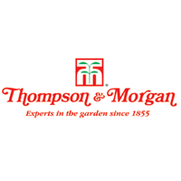 Il n'y a rien de compliqué, lors de vos achats en ligne vous allez voir une vous devez alors insérer un code promo morgan disponible sur notre site de bons plans l'équipe. 90 Off Thompson Morgan Com Coupons Promo Codes January 2021