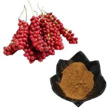 Ngwakọta schisandra chinensis berry wepụ maka ojiji na ngwaahịa dị iche iche - Alibaba.com