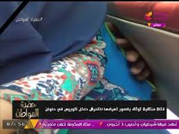 بالصور| منتقبة توثق لحظة التحرش بها داخل ميكروباص!! وسيد علي يعلق: اديله  بالجزمة