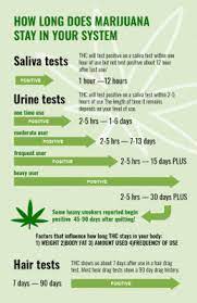 How Long Does Weed Stay In Your System Kushfly