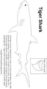 Tiger Shark Print Out Enchanted Learning Software Tiger Shark Shark Coloring Pages Shark Activities
