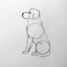 Hund Zeichnen Einfach Eine Zeichnung In 5 Schritten