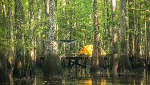 Stunning mountains, beautiful forests, pristine beaches, and thrilling outdoor recreation create the perfect south carolina camping adventure. Fun And Unique Camping Spots In North Carolina Visitnc Com