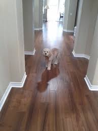 Free Samples Of This Floor Available Call 1 800 906 6242 Burma Teak Offers Natural Color Variation A House Flooring Teak Flooring Engineered Hardwood Flooring