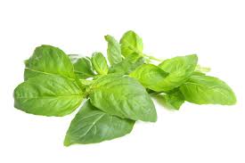 Check spelling or type a new query. Basil Fresh Walmart Canada