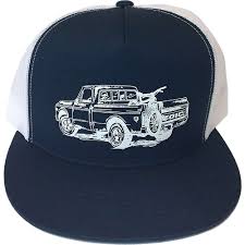 Zoic Mens Truck Hat Mountain Steals