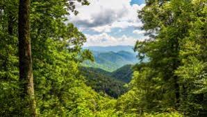 Indian creek campground is located on the cherokee indian reservation at the southern edge of the great smoky mountains national park in the west of north carolina. Where To Camp In North Carolina When Great Smoky Mountains National Park Is Booked