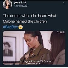 The best bird box memes. Top 18 Bird Box Memes So Life Quotes