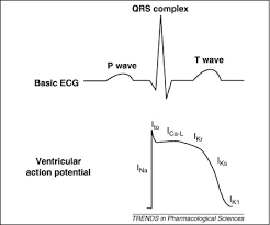 The concept that heart failure is an engine out of fuel has been generally accepted and metabolic remodeling has been recognized as an important aspect of this condition; Cardiac Electrical Remodeling In Health And Disease Trends In Pharmacological Sciences