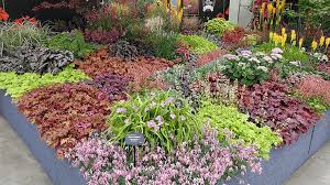 We have colorful flowering plants, fruit trees, and privacy screening plants. Farwest Show Extends Tier 1 Deadline For 2020 New Varieties Showcase Nursery Management
