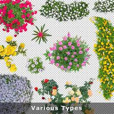 Flowers that can be trained into standards, especially roses, are most at home in a formal garden design. Cutout Flower Top View Png Image Collection For Architects