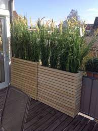 Affordable Backyard Ideas Garden Privacy Backyard