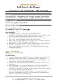 Use our professional area sales manager resume sample.you don't have to start writing from scratch. Channel Sales Manager Resume Samples Qwikresume