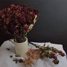 生命不是枯萎後就是終點是永恆 如同這些花不是枯萎後就不再吸引人時間封存了它的美 賦予它神秘也許這就是這麼多人喜歡乾燥花的原因吧在某方面花即便不再生長卻依然讓人感到這麼有生命力 photography hsinchu florist hsinchuflorist flowers flower 花