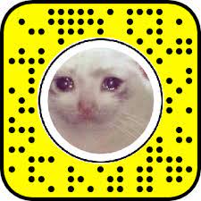Crying Cat Snapchat Lens Filter Cat Cryingcat Filter Lenses Snapchat Lens Filters Snapchat Filters