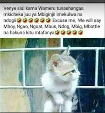 Maybe you would like to learn more about one of these? 720 Kenyan Memes Ideas Memes Kenyan Ex Girlfriend Memes