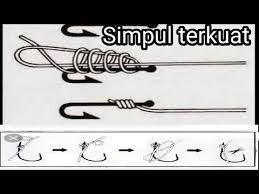 Dimana ikatan tali pancing tersebut sangat kuat untuk memancing ikan dengan size sangat besar, dengan 2 cara ikatan tersebut anda bisa memilih salah satunya. Cara Ikatan Mata Pancing Hobi Mancing