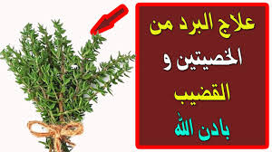 ٢ أعراض تستدعي مراجعة الطبيب. ØªØ£Ø«ÙŠØ± Ø§Ù„Ø¨Ø±Ø¯ Ø¹Ù„Ù‰ Ø§Ù„Ø®ØµÙŠØªÙŠÙ† 4 Ù„Ù… ØªØªÙ‚Ù„Øµ