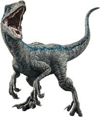We did not find results for: Raptor Blue Jurassic World Dinosaur Novocom Top