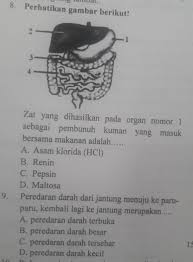 No 8 Dan No 9 8 Zat Yg Dhasilkan Pada Organ No19 Perdaran Darah Melalui Jantung Brainly Co Id