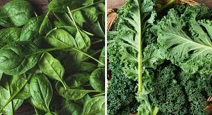 How much spinach should you eat each day? Which Leafy Green Is More Nutritious Spinach Or Kale