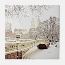 Central Park Snow Winter New York Tile Zazzle Com In 2021 New York City Central Park New York Snow New York Winter