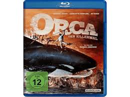 Incredible photos of orcas (killer whales) and humpback whale feeding during herring run in norway (arctic circle) 0:35. Orca Der Killerwal Blu Ray Blu Ray Auf Blu Ray Online Kaufen Saturn