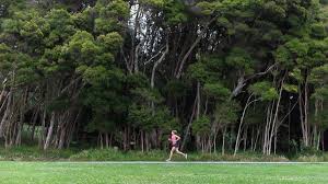 Three steps to recover all lost data: Workout Of The Week The Recovery Run The Morning Shakeout