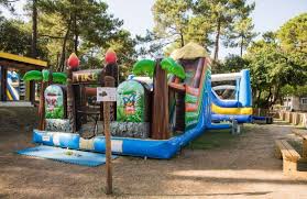 Dans un cadre boisé, sur la côte atlantique, venez passer des moments uniques au camping club côté ô la palmyre. Campingplatz Palmyre Loisirs In Les Mathes Charente Maritime Campingfrance Com