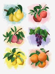 Gambar Pohon Tangan Yang Dicat Segar Dengan Buah Buahan Untuk Unsur Komersil Tangan Ditarik Segar Buah Di Atas Pokok Itu Png Dan Clipart Untuk Muat Turun Per Buah Seni Cat Air