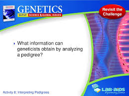 And questions or activities that you will be asked to provide answers for are . Interpreting Pedigrees Ppt Download