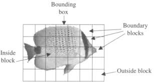 Spatial Redundancy An Overview Sciencedirect Topics