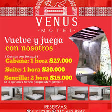 Motel Venus (@motel_venus) • Instagram photos and videos