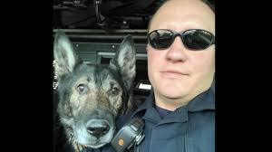 Beloved Cheyenne Police Dog Dies; Officers Considered 'Ruger' One Of Them