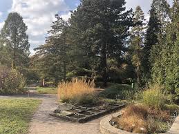 Du hast 3 möglichkeiten, von teplitz nach botanischer garten dresden zu kommen. Bild Botanischer Garten Dresden 9 Flip De